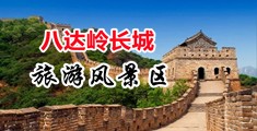 搜欧美日逼网站中国北京-八达岭长城旅游风景区