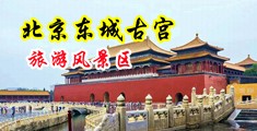 小逼痒被草中国北京-东城古宫旅游风景区